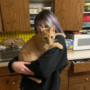 Meet your Posher, Jen